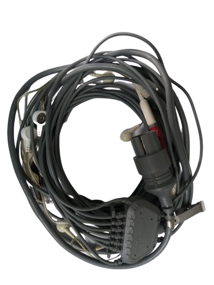 Quinton Mortara Burdick