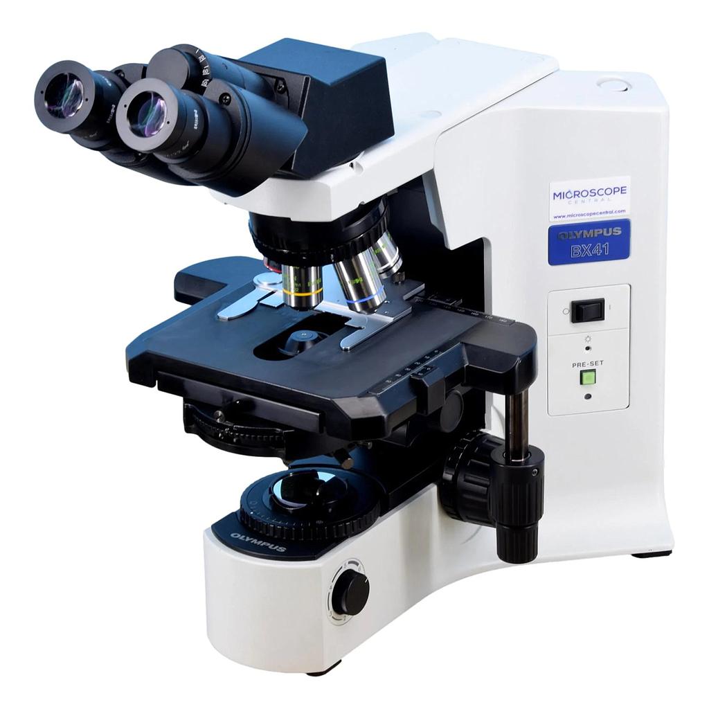 MICROSCOPIO OLYMPUS BX41