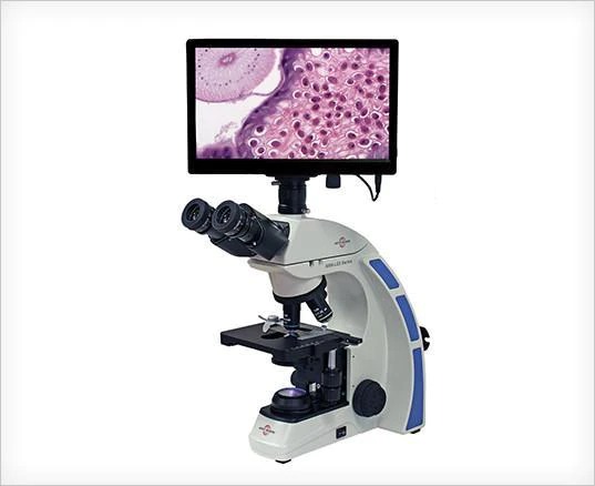 Microscopio Accu-Scope AU-600-HDS